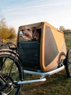 Croozer Dog Peppa -Meindlrab Store 121000818 12 1280x1280