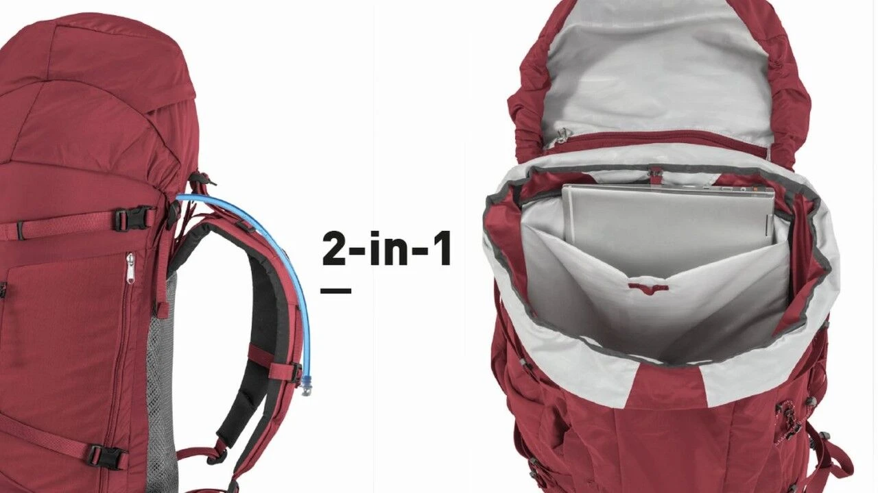 Bach Daydream 50 12 Bach Daydream 50 - Image 10