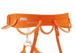 Petzl Hirundos -Meindlrab Store C036BA00 HIRUNDOS focus 4 LowRes 1280x1280