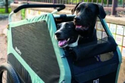 Burley Bark Ranger -Meindlrab Store SS23BarkRanger 840840014115 05 1280x1280