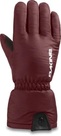 Dakine Women´s Phoenix Gore-Tex Glove 8 Dakine Women´s Phoenix Gore-Tex Glove -Meindlrab Store WOMENSPHOENIXGORETEXGLOVE BLACK 194626407876 10003551 BLACK 22M PT01 1280x1280